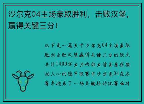 沙尔克04主场豪取胜利，击败汉堡，赢得关键三分！